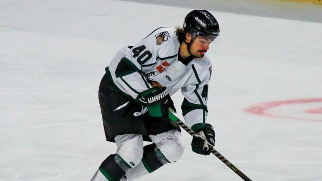 Brandon Cutler of the Utah Grizzlies