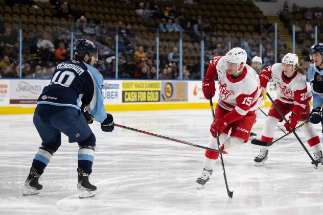 Milwaukee Admirals' Roland McKeown battles Grand Rapids Griffins' Jakub Vrana