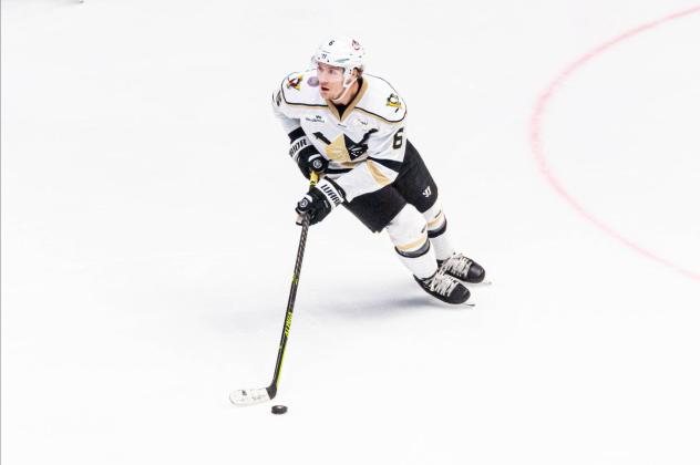 Wheeling Nailers defenseman Adam Smith