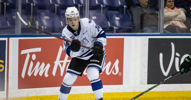 Victoria Royals right wing Carter Dereniwsky