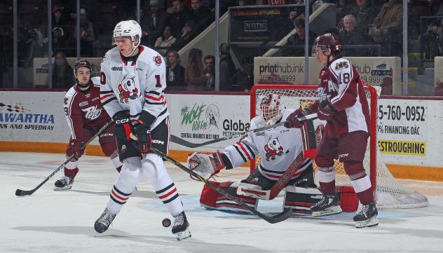 Peterborough Petes  battle the Niagara IceDogs