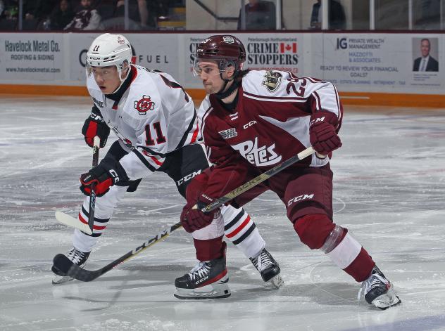 Niagara IceDogs' Kevin He and Peterborough Petes' Jonathan Melee on the ice