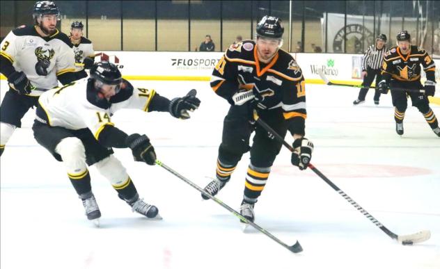 Wheeling Nailers' Peter Laviolette and Iowa Heartlanders' Justin Wells in action