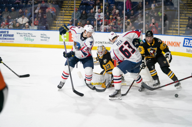 Springfield Thunderbirds' Matthew Peca in action