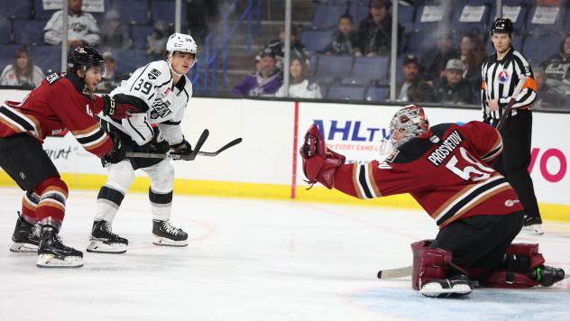 Tucson Roadrunners' Ivan Prosvetov in action