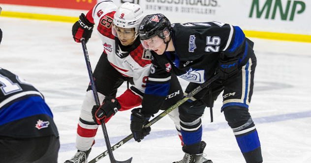 Prince George Cougars' Brad Morrison and Victoria Royals' Reggie Newman on game night