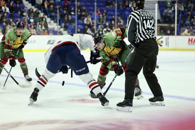 Vancouver Giants' Kyren Gronick in action