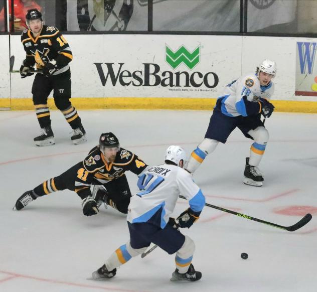 Wheeling Nailers' Tyler Drevitch battles Toledo Walleye's Cédric Lacroix