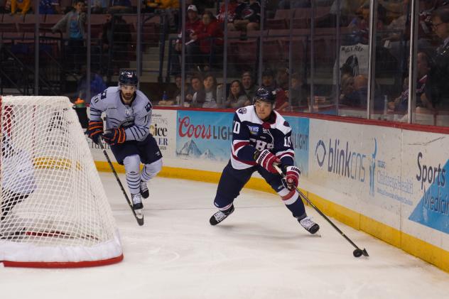 South Carolina Stingrays and the Greenville Swamp Rabbits on game night