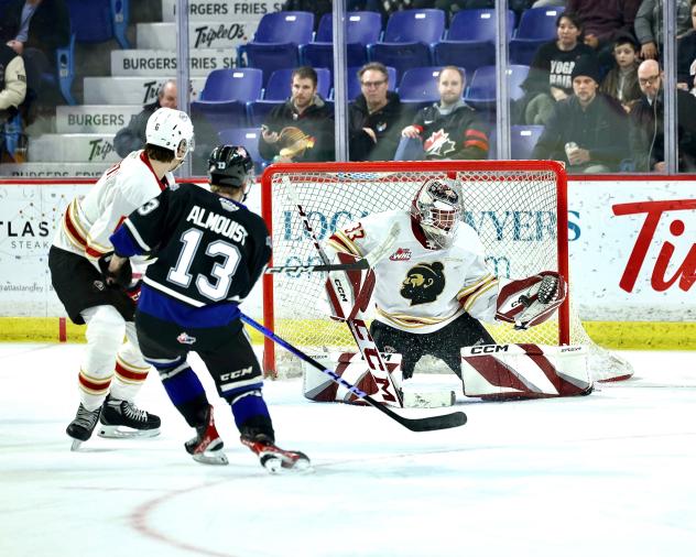 Victoria Royals' Marcus Almquist and Vancouver Giants' Brett Mirwald in action