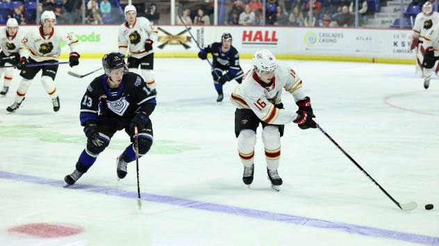 Victoria Royals' Marcus Almquist and Vancouver Giants' Will Subject on the ice