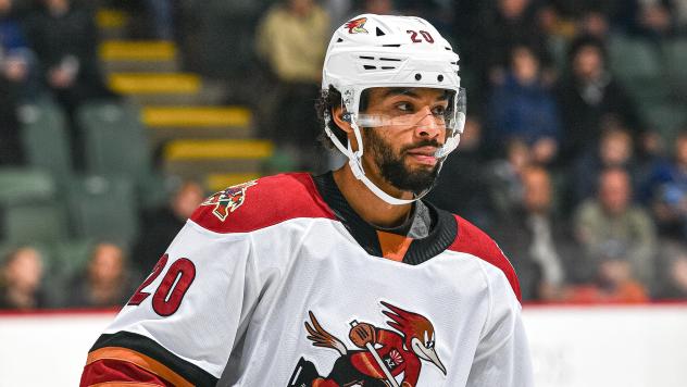 Tucson Roadrunners' Devante Stephens
