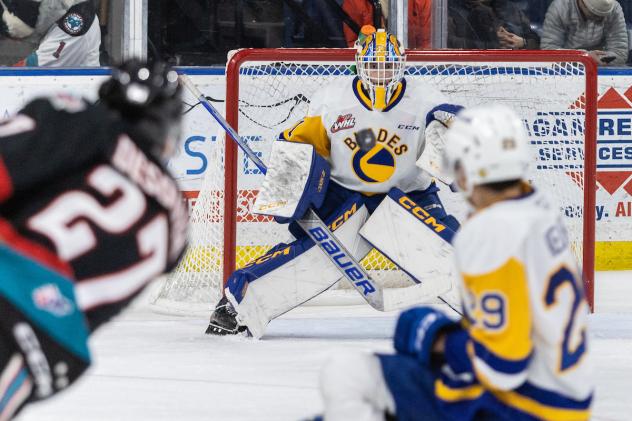 Saskatoon Blades in action