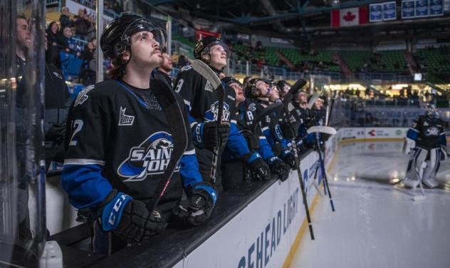 Saint John Sea Dogs bench