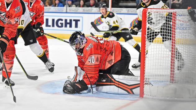 Kansas City Mavericks goaltender Shane Starrett