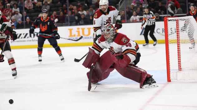 Tucson Roadrunners' Ivan Prosvetov in action