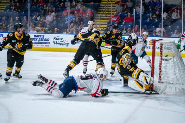 Springfield Thunderbirds battle the Providence Bruins