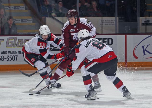 Peterborough Petes' Tommy Purdeller battles Ottawa 67's Henry Mews and Frankie Marrelli