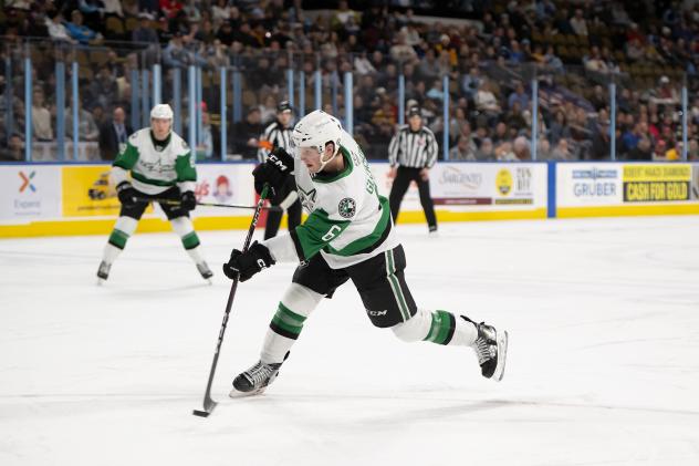 Texas Stars' Ben Gleason in action