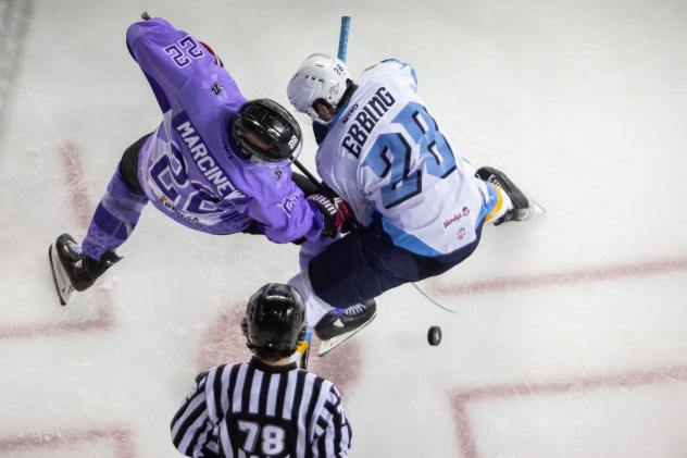 Rapid City Rush's Matthew Marcinew battles Toledo Walleye's Thomas Ebbing