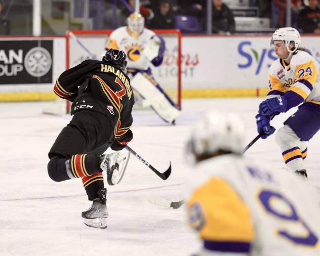 Vancouver Giants' Ty Halaburda in action
