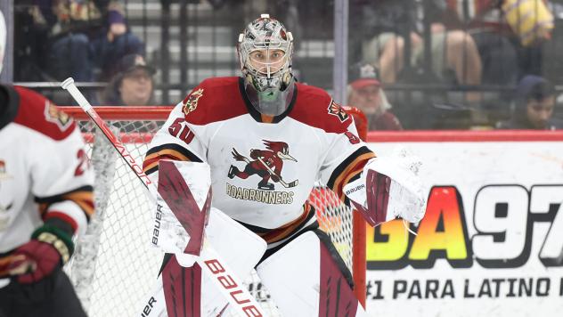 Tucson Roadrunners goaltender Ivan Prosvetov