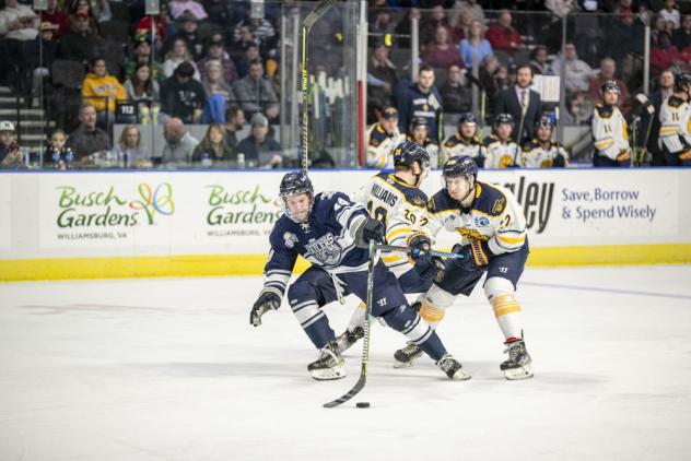 Worcester Railers vs. the Norfolk Admirals