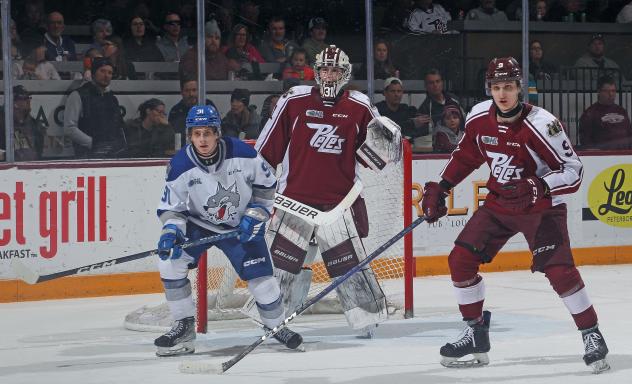 Peterborough Petes goaltender Michael Simpson stands tall against the Sudbury Wolves
