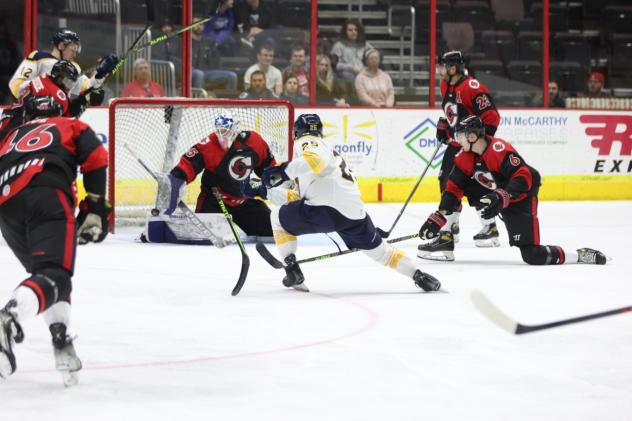 Norfolk Admirals' Griffin Lunn in action