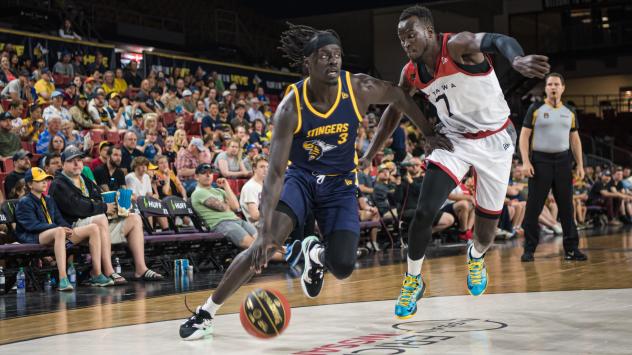 Edmonton Stingers drive to the hoop