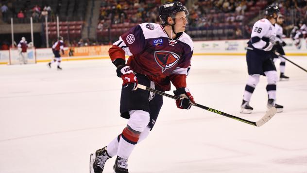 South Carolina Stingrays in action