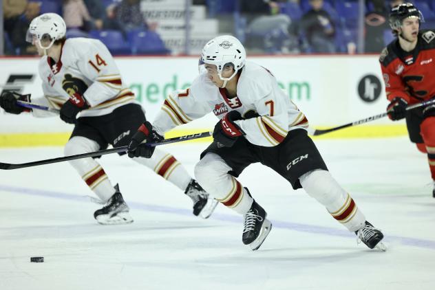 Vancouver Giants' Ethan Semeniuk and Ty Halaburda in action
