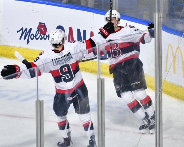 Belleville Senators' Jake Lucchini on game night