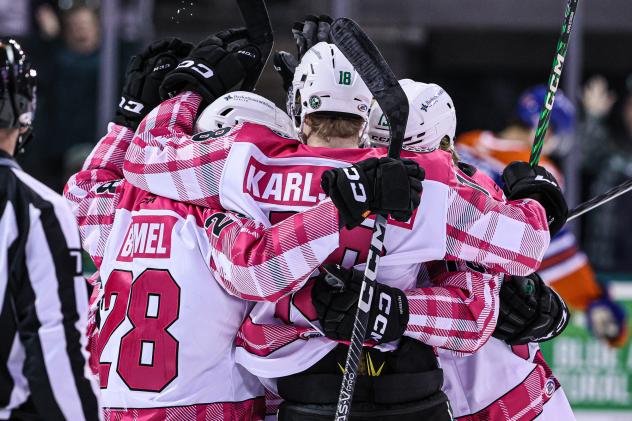 Texas Stars' Matej Blumel and Fredrik Karlstrom celebrate win