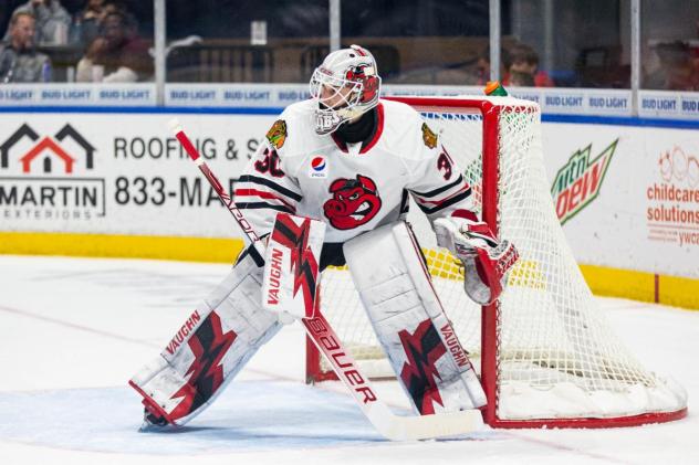 Rockford IceHogs goaltender Jaxson Stauber