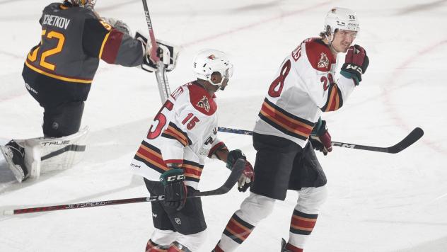 Tucson Roadrunners forwards Boko Imama and Curtis Douglas vs. the Chicago Wolves