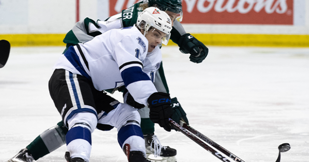 Victoria Royals in action