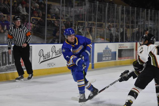 Roanoke Rail Yard Dawgs forward Billy Vizzo