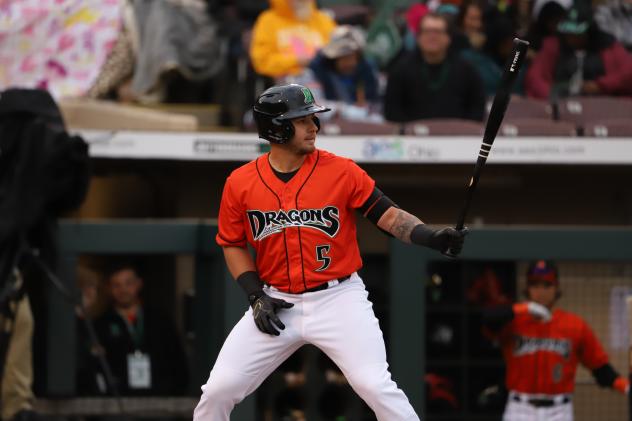 Dayton Dragons catcher Mat Nelson