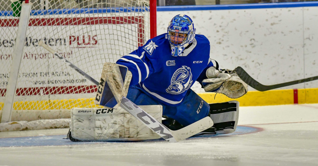 Goaltender Roman Basran with the Mississauga Steelheads