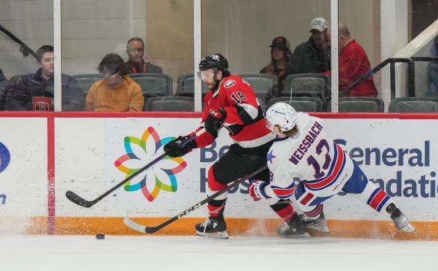 Belleville Senators' Jarid Lukosevicius and Rochester Americans' Linus Weissbach in action