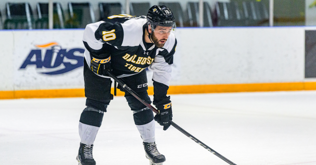 Forward Dillon Boucher with Dalhousie University