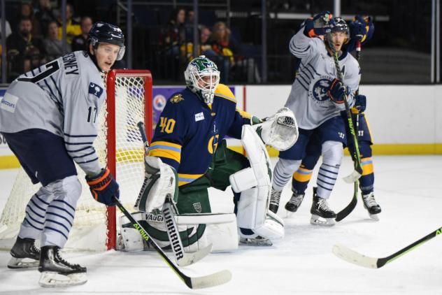 Atlanta Gladiators battle the Greenville Swamp Rabbits