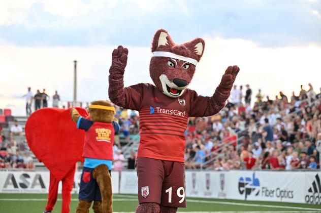 Chattanooga Red Wolves SC mascot Rusty the Red Wolf