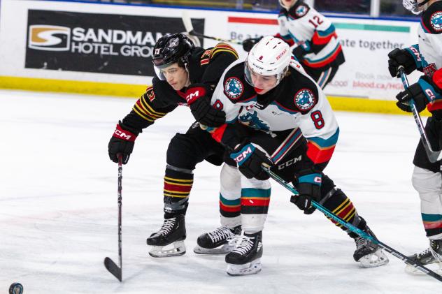 Vancouver Giants' Damian Palmieri battles Kelowna Rockets' Grady Lenton