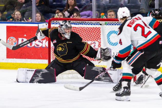 Vancouver Giants' Jesper Vikman and Kelowna Rockets' 	Dylan Wightman in actionF