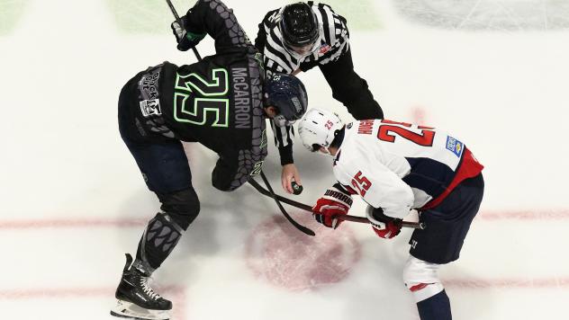 Florida Everblades' John McCarron versus South Carolina Stingrays' Bear Hughes
