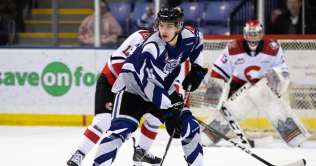 Victoria Royals' Matthew Hodson in action