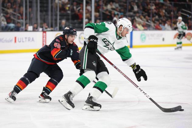 Coachella Valley Firebirds' Jeremy McKenna versus Texas Stars' Ryan Shea