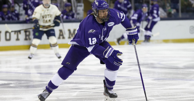 Forward Jason Pineo with Niagara University